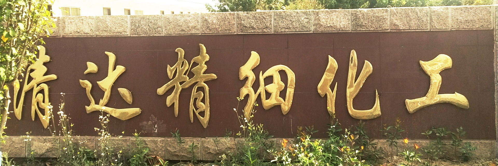 上海網站建設